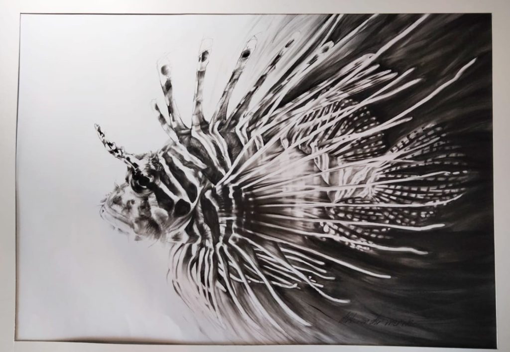 Runner Up: Dirk van der Merwe